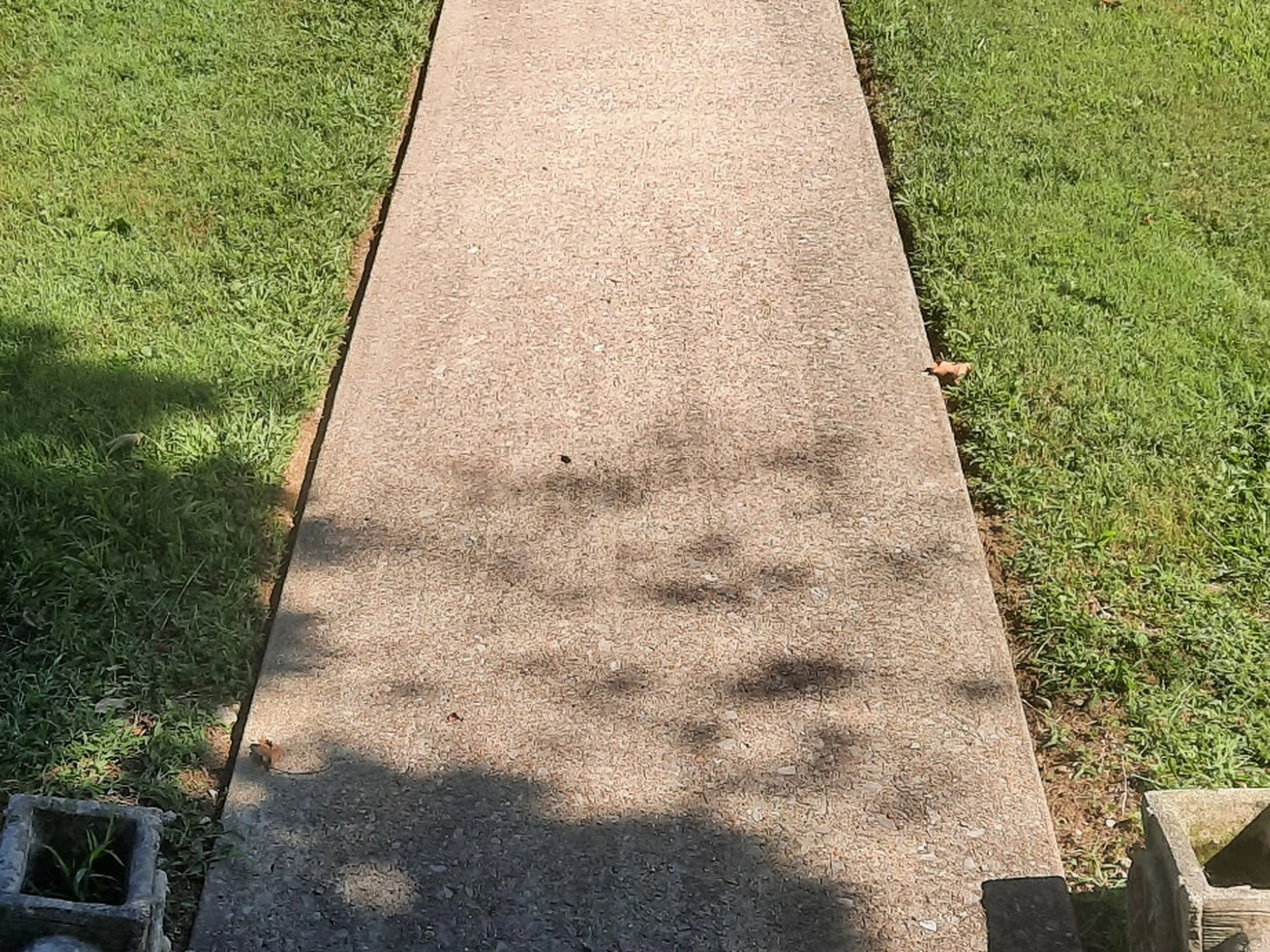 Before cleaning: Front Walkway Cleaning — Wilson County, TN