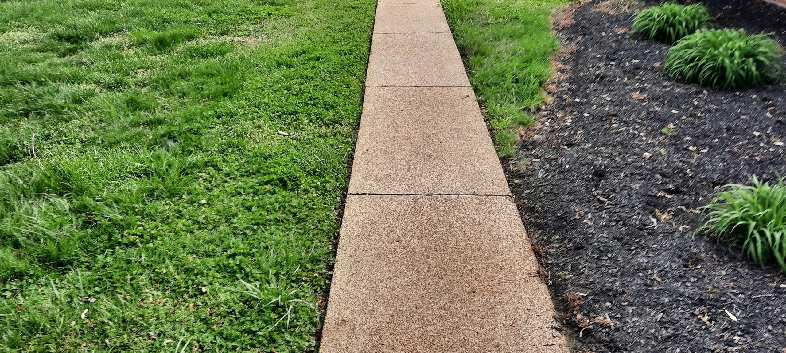 After cleaning: Walkway & Sidewalk — Mt. Juliet, TN